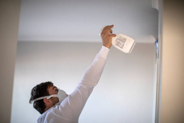 Best Attic Mold Removal  in East Ridge, TN
